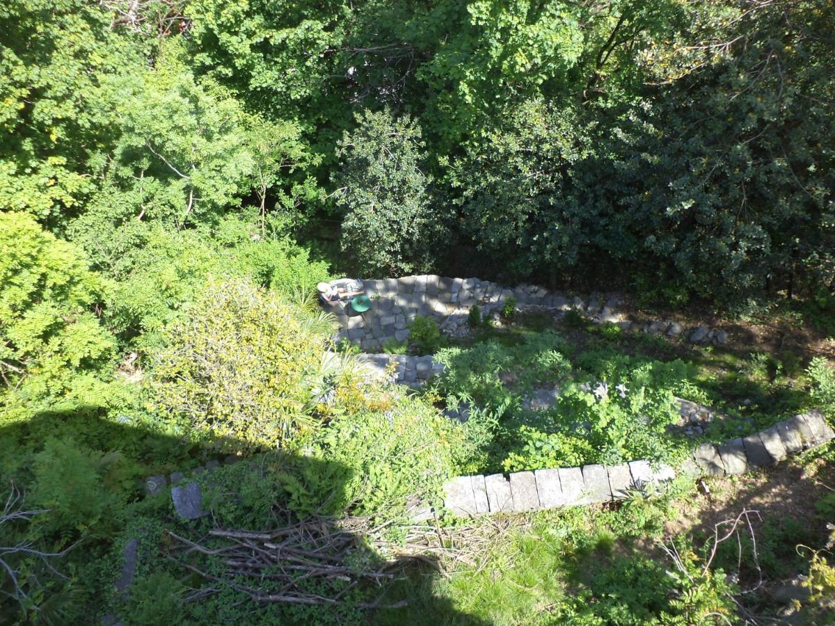 B&B Casa Codega Intragna Kültér fotó