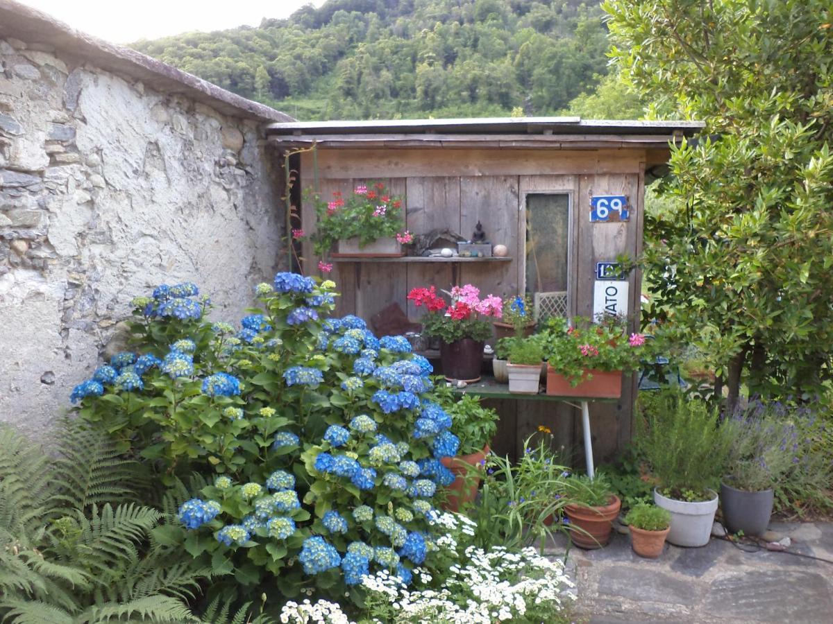 B&B Casa Codega Intragna Kültér fotó